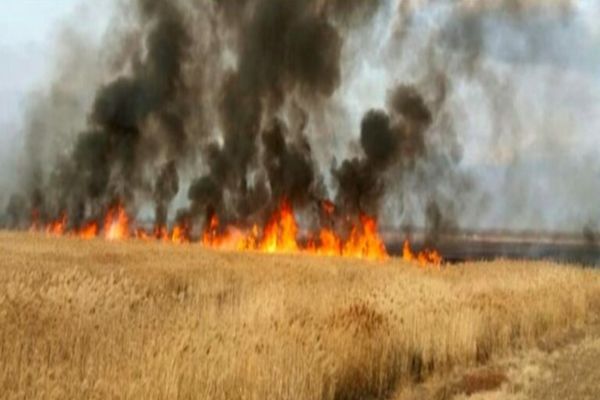Incendiu de proporții într-o comună din Dâmbovița! Un lan de grâu de peste 40 de hectare, mistuit de flăcări. Au intervenit în ajutor pompierii de la ISU Bucureşti-Ilfov