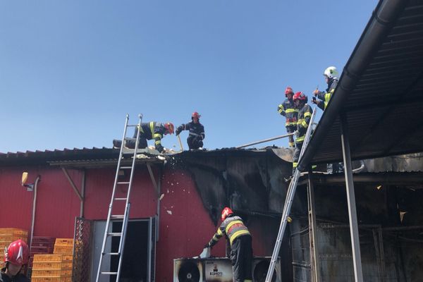 Incendiu uriaș la un depozit comercial din Dâmbovița