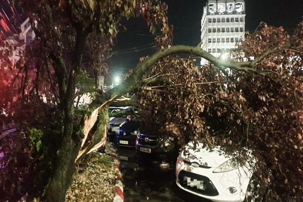 O vijelie puternică a făcut prăpăd la Târgoviște! 