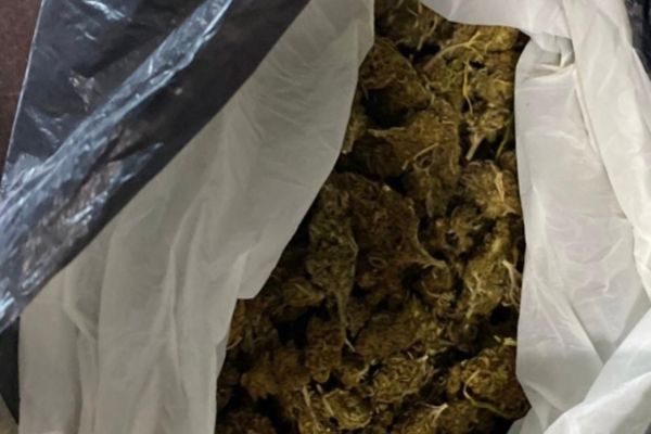 Percheziţii în Bucureşti şi Ilfov la persoane bănuite de trafic de droguri