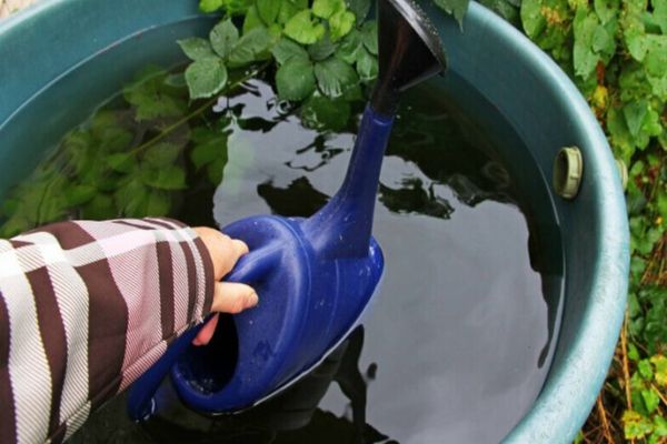 Apele Române: Adunați apa de ploaie. Cea mai gravă secetă din ultimii 500 de ani