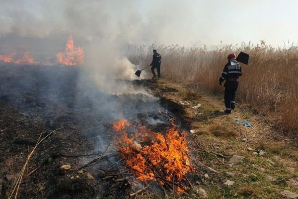 Dâmbovița. Aproximativ 30 de hectare ard în urma unui izbucnirii unui incendiu de vegetație uscată