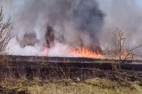 Incendiu violent în Dâmbovița! Arde o suprafaţă întinsă de vegetație uscată