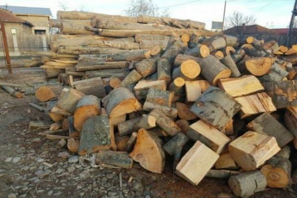 Prețul lemnului de foc, plafonat de Guvern - Un metru cub nu va putea fi mai scump de 500 de lei