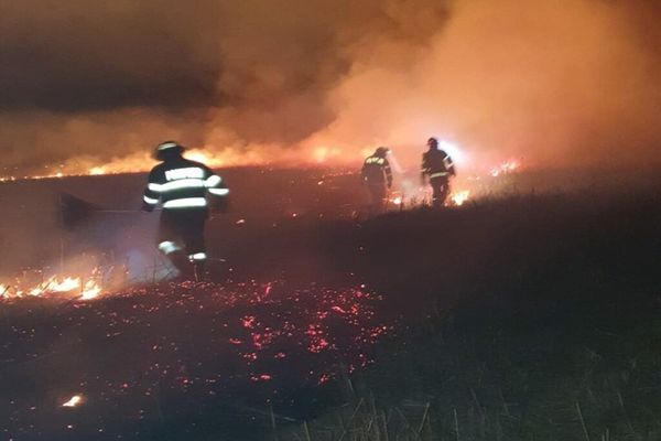 Intervenţia pompierilor dâmboviţeni pentru stingerea unui incendiu de vegetație uscată în Filipeştii de Pădure din judeţul Prahova
