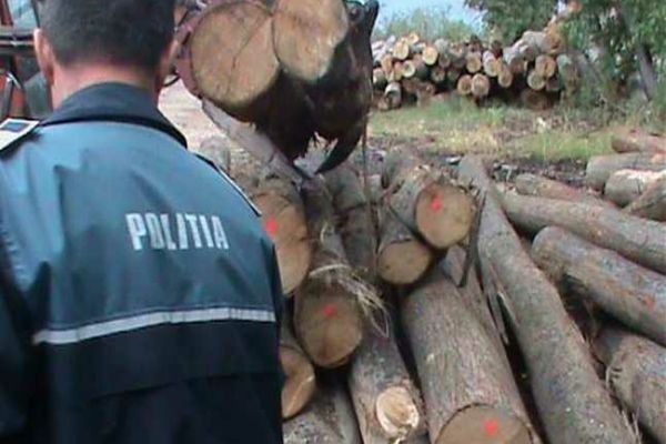 Amenzi de 20.000 lei, în urma unui control făcut de polițiști și Garda Forestieră la două firme din Dâmbovița