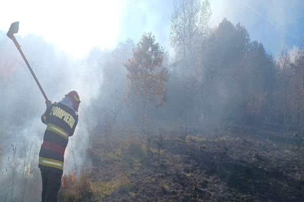Dâmbovița.  Zeci de hectare de vegetație, în flăcări