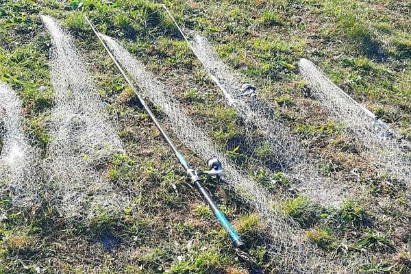 Dâmboviţa. Mai multe persoane care pescuiau ilegal, amendate de jandarmi 