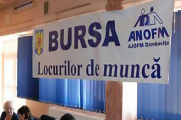 Dâmboviţa. S-au angajat 287 de persoane participante la Bursa locurilor de muncă pentru absolvenți