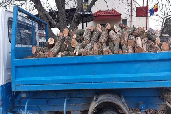 Acţiune a poliţiştilor dâmboviţeni pentru prevenirea delictelor silvice