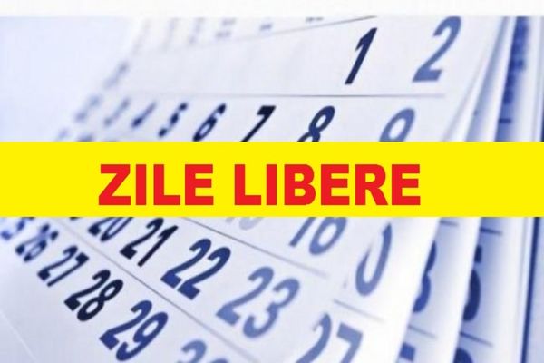 Cum va fi recuperată de către bugetari ziua liberă de 2 decembrie