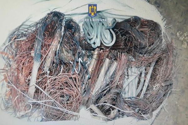 Bărbat din Dâmboviţa, amendat după ce a fost prins cu 350 de kilograme de materiale feroase şi neferoase 