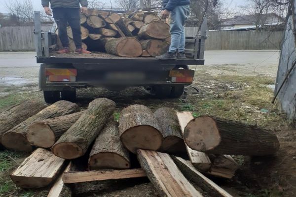 Dâmbovița. 2 metri cubi de material lemnos confiscat de polițiști