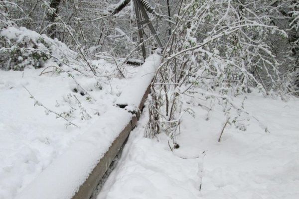 Probleme produse de prima zăpadă, în Dâmbovița! Pompierii au intervenit pentru a înlătura arbori și stâlpi căzuți