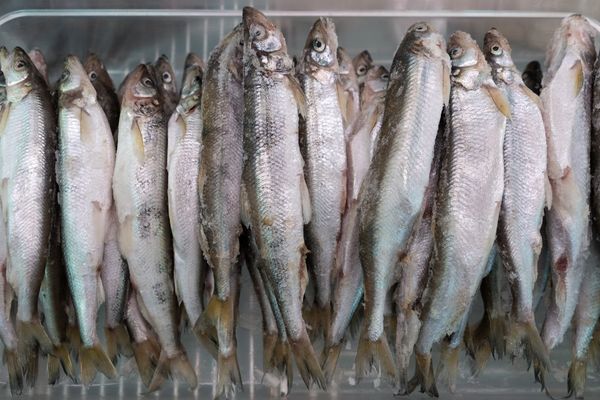 Acţiune a comisarilor ANPC în zone comerciale şi la furnizorii de alimente provenite din Olanda