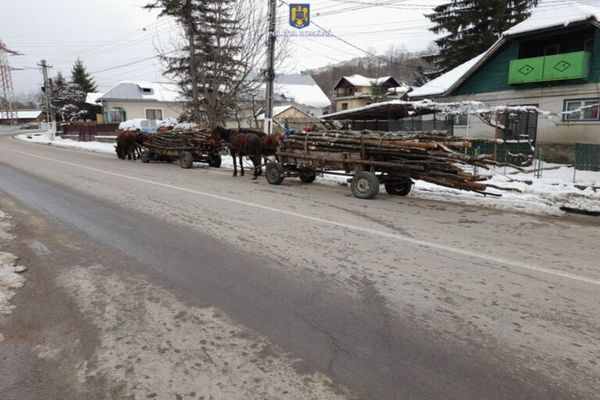 Doi bărbați din Dâmbovița, prinși la furat lemne cu căruțele! Au fost amendați drastic, iar materialul lemnos le-a fost confiscat