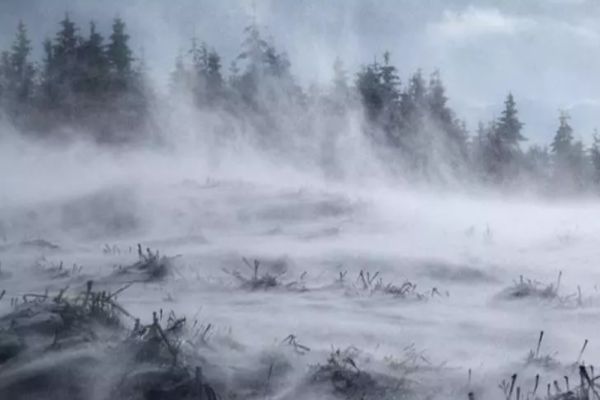 Atenție! Cod galben de vânt la această oră în șapte județe