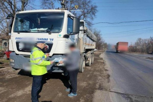 Dâmboviţa. Dosare penale pentru că au transportat lemne fără documente