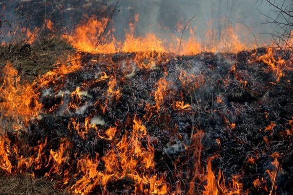 Dâmbovița. 2000 metri pătraţi de vegetație uscată, mistuite de flăcări 