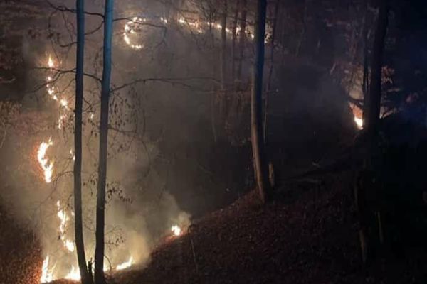 Incendii de vegetație, pe 17 hectare, în Dâmbovița și Prahova