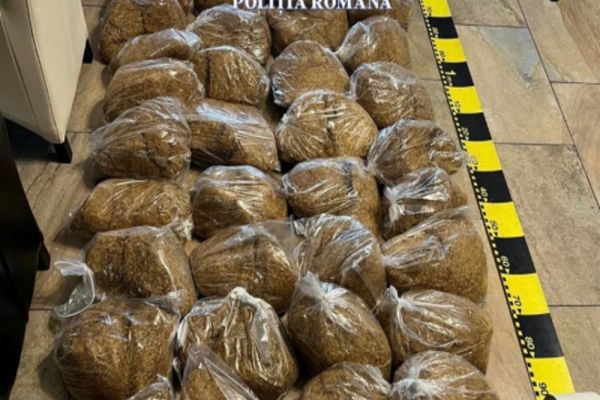 Atenție la ce cumpărați! Peste 7 tone de tutun, prelucrat în condiții insalubre, descoperite de polițiști