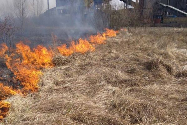 Incendiu de vegetație uscată în localitatea Dâmbovicioara 