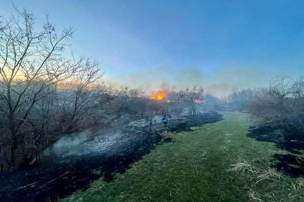 Incendiu violent de vegetaţie uscată într-o localitate din Dâmboviţa. Flăcările au cuprins peste 5000 de metri pătraţi