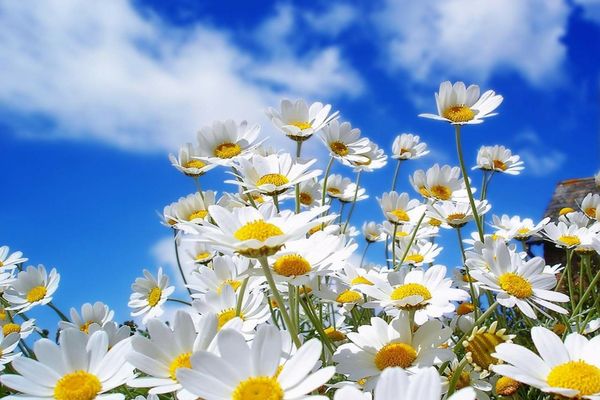 Variaţii termice în această primăvară. Cum va fi vremea de Paşte