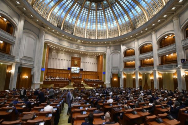  MOȚIUNE SIMPLĂ ÎMPOTRIVA MINISTRULUI ENERGIEI, LA SENAT