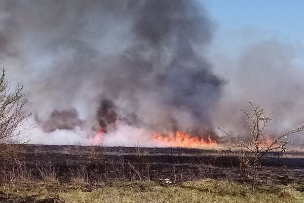 Dâmboviţa. Un bărbat a murit într-un incendiu de vegetaţie uscată