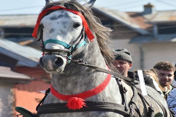 Dâmboviţa. Sărbătoare mare în comunitatea bulgarilor din Târgoviște! Paștele Cailor, eveniment unic în România