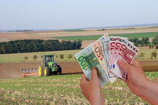 SUMĂ TOTALĂ DE 444 DE MILIOANE DE EURO, AUTORIZATĂ LA PLATĂ DE APIA PENTRU PESTE 546.000 DE FERMIERI