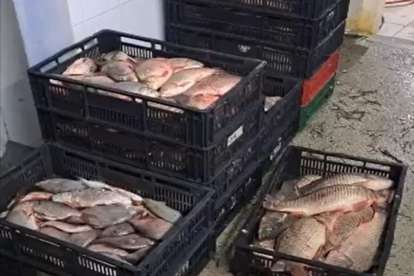 Protejarea fondului piscicol, în atenţia Poliţiei Române