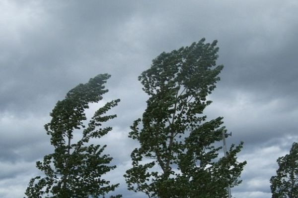 COD GALBEN DE VÂNT PUTERNIC ÎN SUDUL ȘI ESTUL ȚĂRII