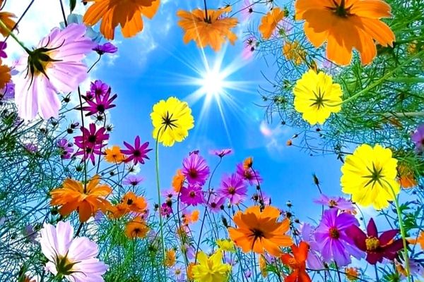 ANM - Prognoza meteo pentru următoarele două săptămâni. Temperaturi chiar și de 30 de grade