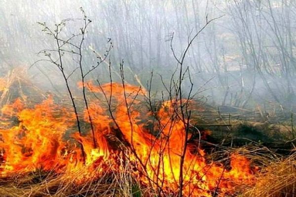 Dâmboviţa. Incendiu puternic de vegetație în apropierea unui depozit. O persoană a făcut atac de panică