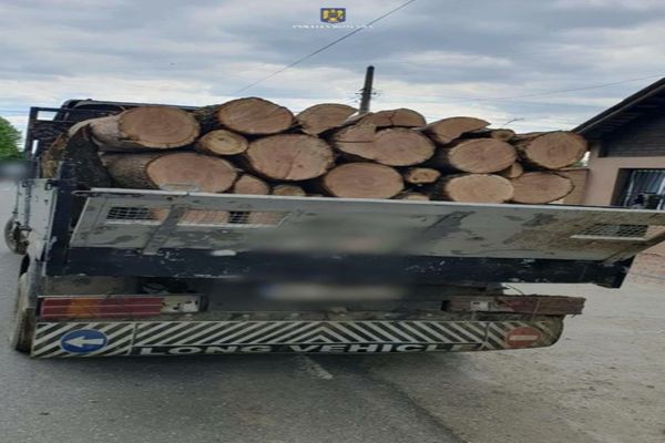 Dâmboviţa. Transport ilegal de lemne descoperit de poliţişti pe DJ702, în localitatea Valea Mare