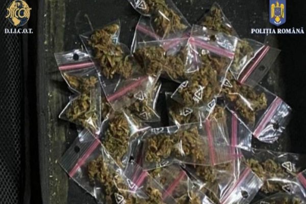 Dâmboviţa. Percheziţii de amploare la persoane bănuite de trafic de droguri