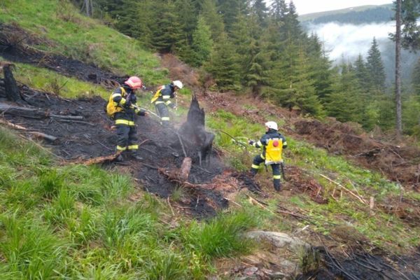 Incendiu într-o pădure din Dâmbovița! Flăcările s-au manifestat la resturile de exploatare forestieră
