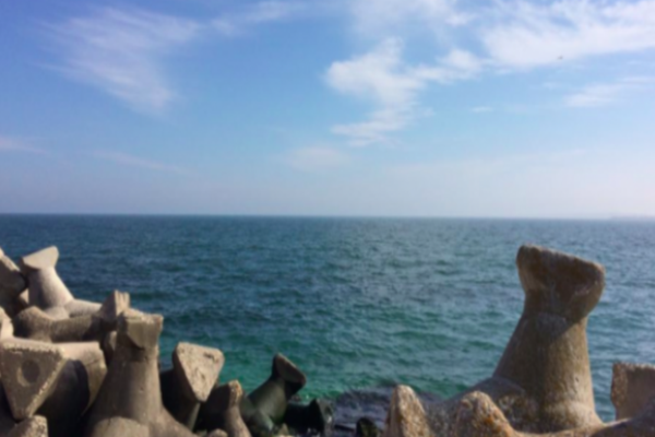 APA MĂRII NEGRE, ÎN PERICOL DE CONTAMINARE CU BACTERIA „VIBRIO”