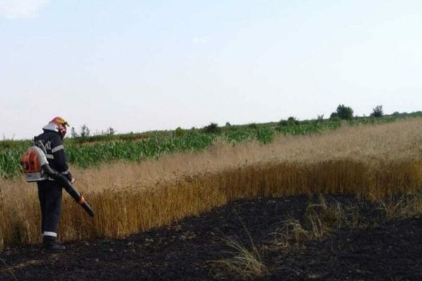 Incendiu puternic în Dâmbovița! A ars o suprafață de aproximativ 5000 de metri pătrați