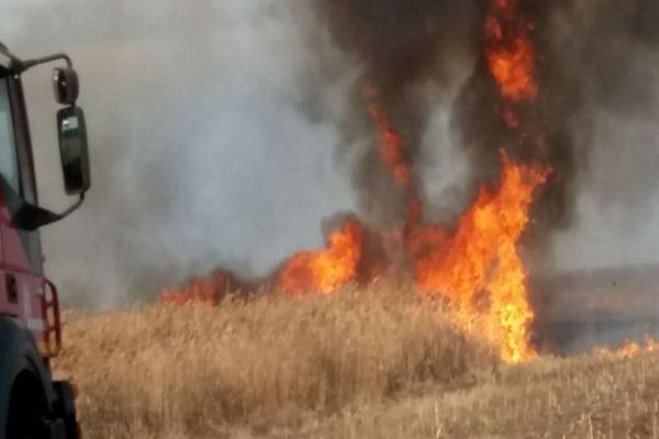 Dâmboviţa.  Cultură de grâu mistuită de flăcări