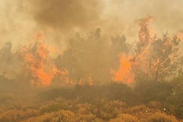 Alertă MAE pentru români: Grecia a prelungit Codul roșu de caniculă până pe 27 iulie - Risc uriaș de incendii