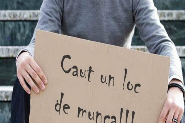 BNS ATRAGE ATENȚIA ASUPRA UNUI EFECT 'DEVASTATOR' AL 'ORDONANȚEI TRENULEȚ': CONCEDIERILE COLECTIVE