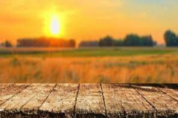 IANUARIE 2025, CEA MAI CALDĂ LUNĂ IANUARIE DIN ISTORIE, LA NIVEL PLANETAR