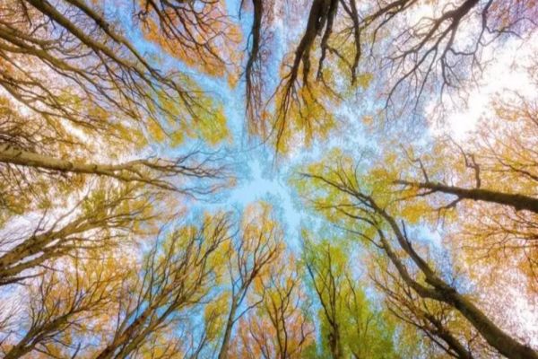 Se schimbă radical vremea. Ce temperaturi surprinzătoare se vor înregistra