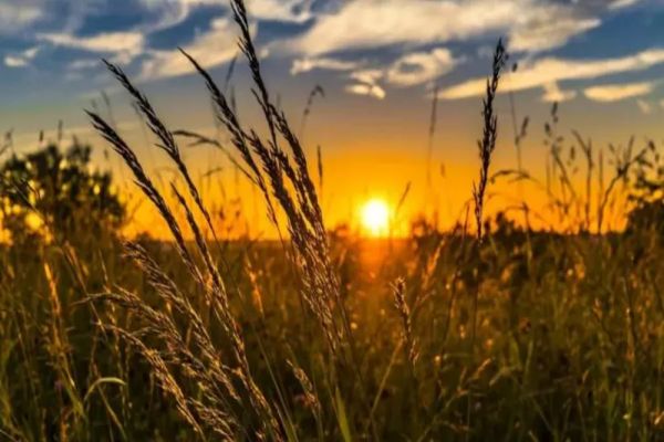 VREMEA 13 AUGUST. COD GALBEN DE CANICULĂ