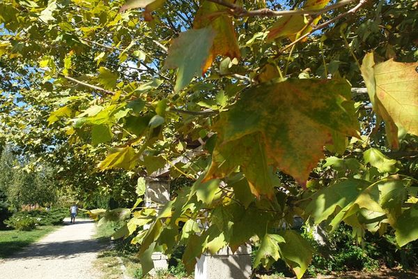 VREMEA 13 SEPTEMBRIE. CUM VA FI VREMEA ÎN ȚARĂ