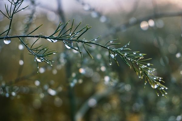 AVERTIZARE METEO: COD PORTOCALIU DE PLOI ABUNDENTE