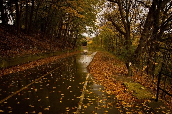 VREMEA 3 OCTOMBRIE. VREME DEOSEBIT DE RECE ÎN CEA MAI MARE PARTE A ȚĂRII